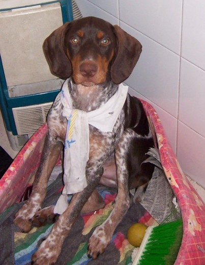 con 5 meses